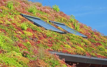 Kirkley living roof systems