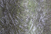 Kirkley fibreglass roof work